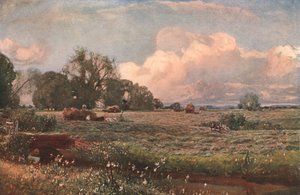 Luční cukroví, 1893, c1902. od Unbekannt