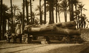 Memphis - Kolosální socha Rameses II, c1918-c1939. od Unbekannt