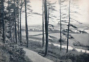 Menai - Z Bangor Wood, 1895 od Unbekannt