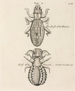 Mikroskopie von Unbekannt