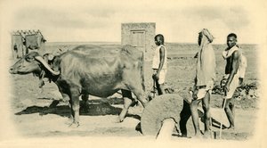 Míchací malta, . od Unbekannt