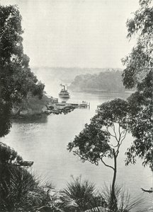 Mosmans Bay, z Cremorne Jetty, c1900. od Unbekannt