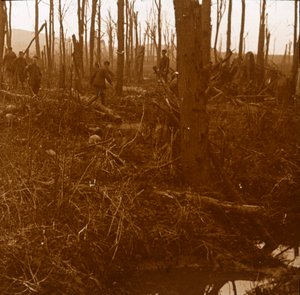 Mount Kemmel, Flandry, Belgie, c1914-c1918 od Unbekannt