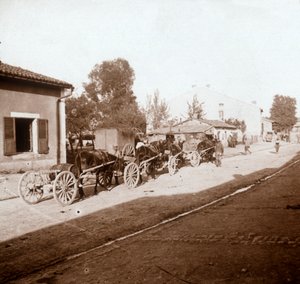 Muly se zásobami, Verdun, severní Francie, c1914-c1918 od Unbekannt