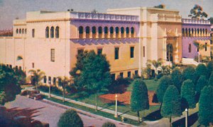 Muzeum přírodní historie, c1935 od Unbekannt