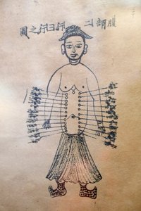Muzeum tradiční vietnamské medicíny, kanály a nádoby, kniha akupunktury, Ho Či Minovo město, Vietnam od Unbekannt