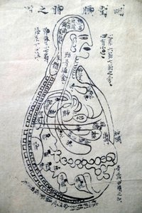 Muzeum tradiční vietnamské medicíny, kanály a nádoby, kniha akupunktury, Ho Či Minovo město, Vietnam od Unbekannt
