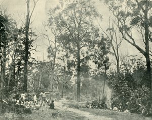 Native Sports, Lake Tyers, 1901. od Unbekannt