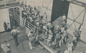 Domorodci nakládající banány v Kingstonu na Jamajce, zpívají skotské žalmy, 1937 od Unbekannt