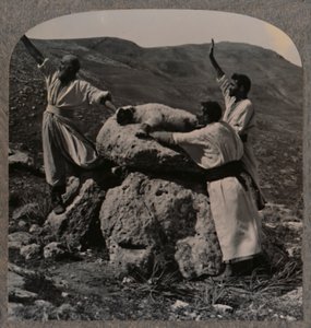 Obětování beránka na Altar, Moreh, c1900 od Unbekannt