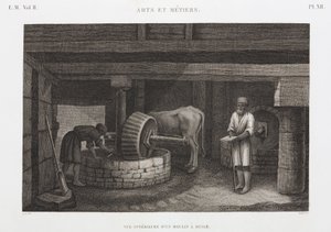 Oils, Fats & Waxes Oil Mill, Egypt, c 1798 od Unbekannt