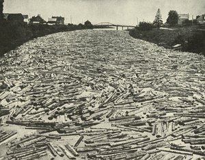 Na jejich cestě k pilám, c1948. od Unbekannt