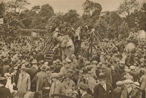 Jeden ze znaků naší civilizace: Dobře zásobené zoologické zahrady pro potěšení zvědavců, c193 od Unbekannt