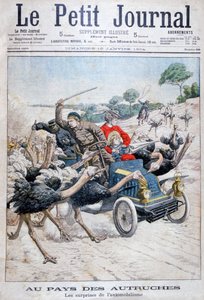 Pštrosi útočící na auto, Kalifornie, USA, 1904 od Unbekannt