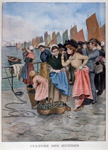 Prodejce ústřic, 1902 od Unbekannt