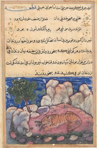 Stránka z Příběhů papouška Tuti-nama: Patnáctá noc: Lev narušený myšmi..., 1558-1560. od Unbekannt