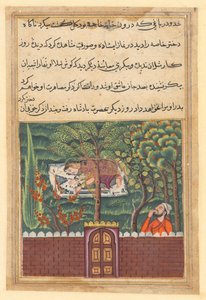 Stránka z Tales of a Parrot Tuti-nama: Padesátá první noc: Khulasa, vezír, vidí..., c1560. od Unbekannt