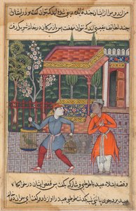 Stránka z Příběhů papouška Tuti-nama: Čtyřicátá druhá noc: Obchodník z Tirmiz..., c. 1560. od Unbekannt