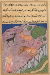 Stránka z Tales of a Parrot Tuti-nama: Dvacátá první noc: Brahman..., c. 1560. od Unbekannt