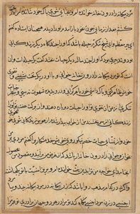 Stránka z Příběhů papouška Tuti-nama: textová stránka, c. 1560. od Unbekannt
