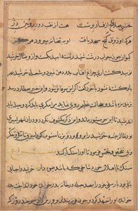 Stránka z Příběhů papouška Tuti-nama: textová stránka, c. 1560. od Unbekannt