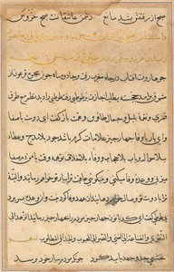 Stránka z Příběhů papouška Tuti-nama: textová stránka, c. 1560. od Unbekannt