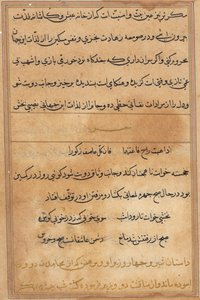 Stránka z Příběhů papouška Tuti-nama: textová stránka, c. 1560. od Unbekannt