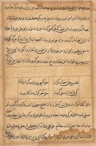 Stránka z Příběhů papouška Tuti-nama: textová stránka, c. 1560. od Unbekannt