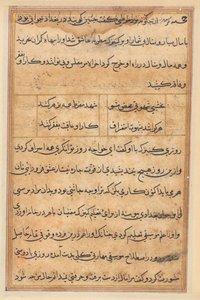Stránka z Příběhů papouška Tuti-nama: textová stránka, c. 1560. od Unbekannt