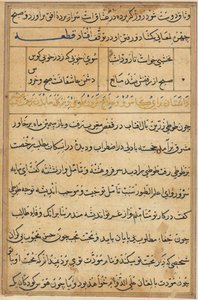 Stránka z Příběhů papouška Tuti-nama: textová stránka, c. 1560. od Unbekannt