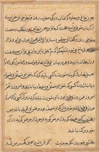 Stránka z Příběhů papouška Tuti-nama: textová stránka, c. 1560. od Unbekannt