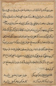 Stránka z Příběhů papouška Tuti-nama: textová stránka, c. 1560. od Unbekannt
