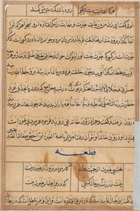 Page from Tales of a Parrot Tuti-nama: text page, c. 1560.  od Unbekannt