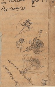Stránka z Příběhů papouška Tuti-nama: textová stránka, c. 1560. od Unbekannt