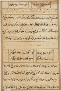 Stránka z Příběhů papouška Tuti-nama: textová stránka, c. 1560. od Unbekannt