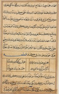 Stránka z Příběhů papouška Tuti-nama: textová stránka, c. 1560. od Unbekannt