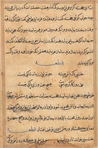 Stránka z Příběhů papouška Tuti-nama: textová stránka, c. 1560. od Unbekannt