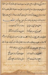 Stránka z Příběhů papouška Tuti-nama: textová stránka, c. 1560. od Unbekannt