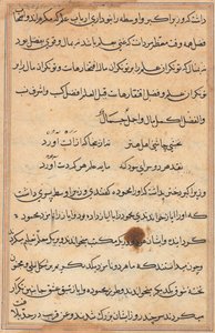 Stránka z Příběhů papouška Tuti-nama: textová stránka, c. 1560. od Unbekannt