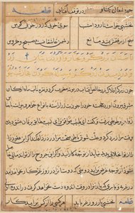 Stránka z Příběhů papouška Tuti-nama: textová stránka, c. 1560. od Unbekannt