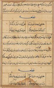Stránka z Příběhů papouška Tuti-nama: textová stránka, c. 1560. od Unbekannt