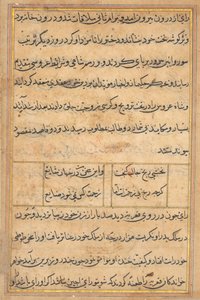 Stránka z Příběhů papouška Tuti-nama: textová stránka, c. 1560. od Unbekannt