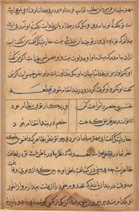 Stránka z Příběhů papouška Tuti-nama: textová stránka, c. 1560. od Unbekannt