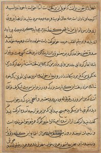 Stránka z Příběhů papouška Tuti-nama: textová stránka, c. 1560. od Unbekannt