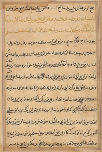 Stránka z Příběhů papouška Tuti-nama: textová stránka, c. 1560. od Unbekannt