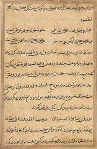 Stránka z Příběhů papouška Tuti-nama: textová stránka, c. 1560. od Unbekannt