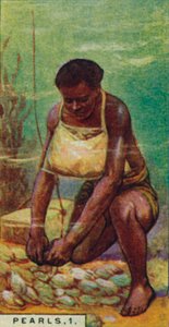 Pearls 1. Native Diver at Work, Cejlon, 1928 od Unbekannt