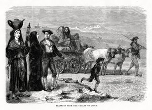 Rolníci z údolí Ossun, Francie, 1879 od Unbekannt
