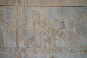 Persepolis, Írán (foto) od Unbekannt