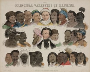 Fyziognomie „Základní odrůdy lidstva“, 3. května 1850 od Unbekannt